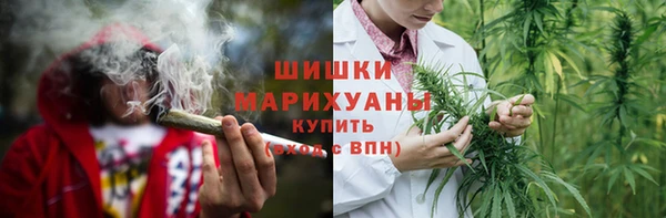 мдпв Вязьма
