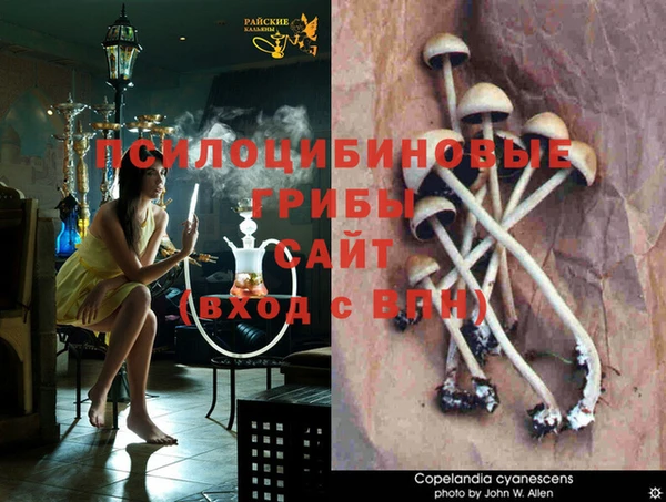 МДМА Вяземский