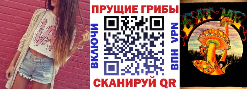 Галлюциногенные грибы Magic Shrooms  Купить  Ладушкин 