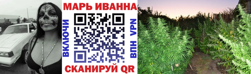 МАРИХУАНА сатива  Купить где  Ладушкин 